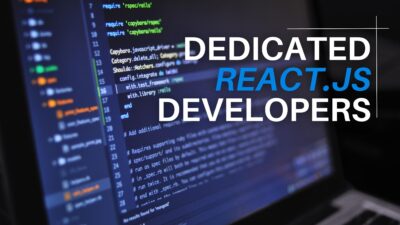 Hire Dedicated React js Developers
